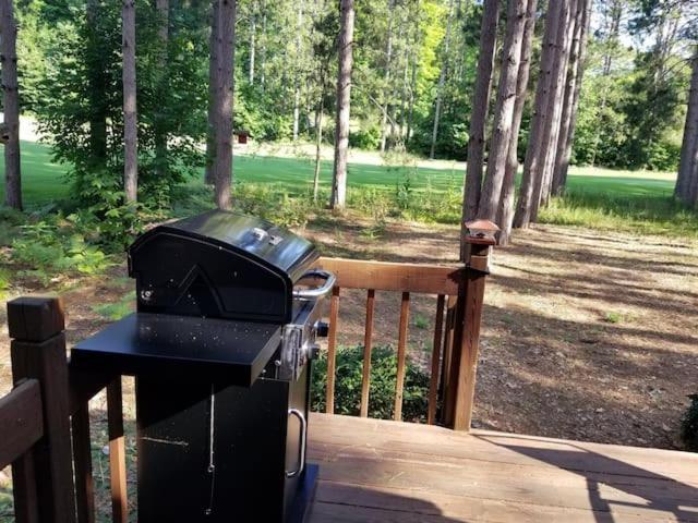 Crystal Mountain Cabin-Shuttle Pass Included! Thompsonville エクステリア 写真